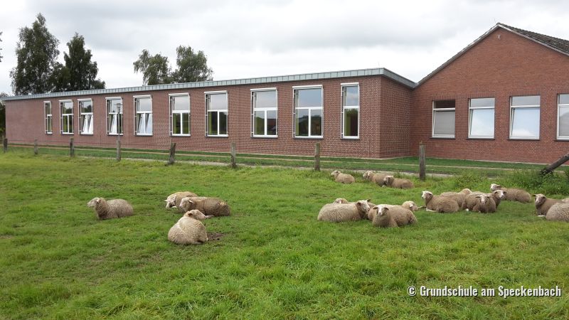 Grundschule am Speckenbach