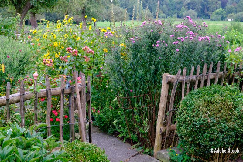Sommergarten mit Zaun