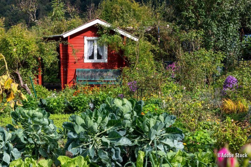 Garten mit rotem Gartenhaus