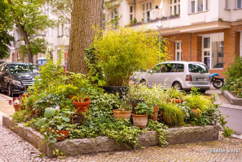 Umpflanzter Baum in Großstadt