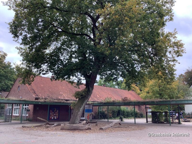 Grundschule Schierbrok