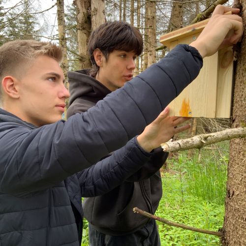 nistkastenaushang_im_harz.jpg