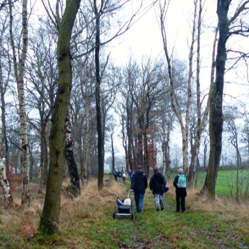 zaunabbau_schulwald_hoheesche_saaf_friedeburg_2020_rkoe-_25.jpg