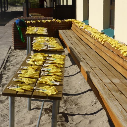 abfallsammlung_wangerooge_2.jpg