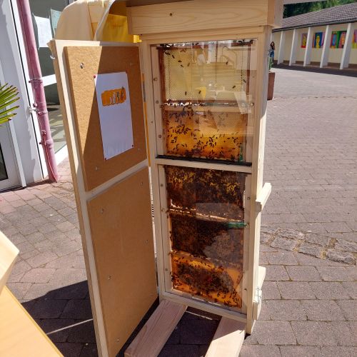 20220708_113849_schaukasten_bienen.jpg