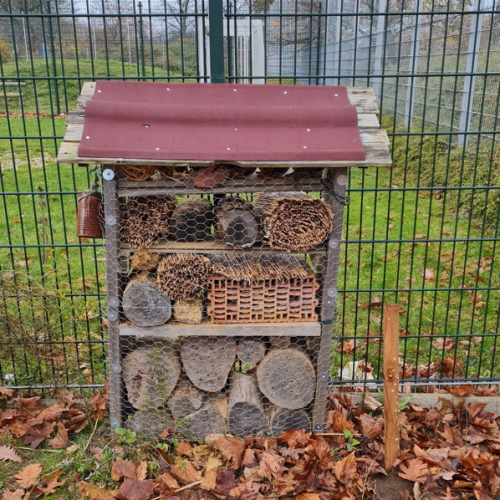 insektenhotel_albert_schweitzer_gymnasium_wolfburg.png