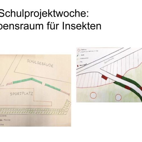 schulprojektwoche_lebensraum.jpg